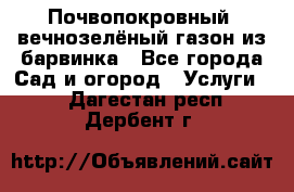 Почвопокровный, вечнозелёный газон из барвинка - Все города Сад и огород » Услуги   . Дагестан респ.,Дербент г.